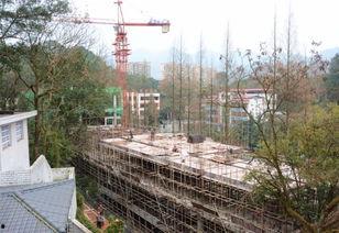 重庆梁平爆料最新消息,揭秘事件背后真相  第1张