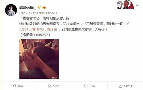 网黑八卦爆料视频大全集,视频大全集深度解析  第2张