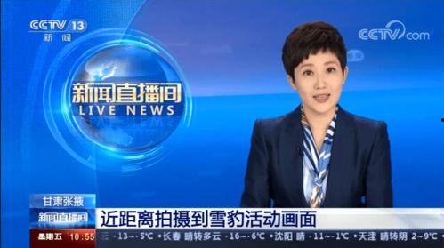 张掖新闻热线爆料电话  第2张